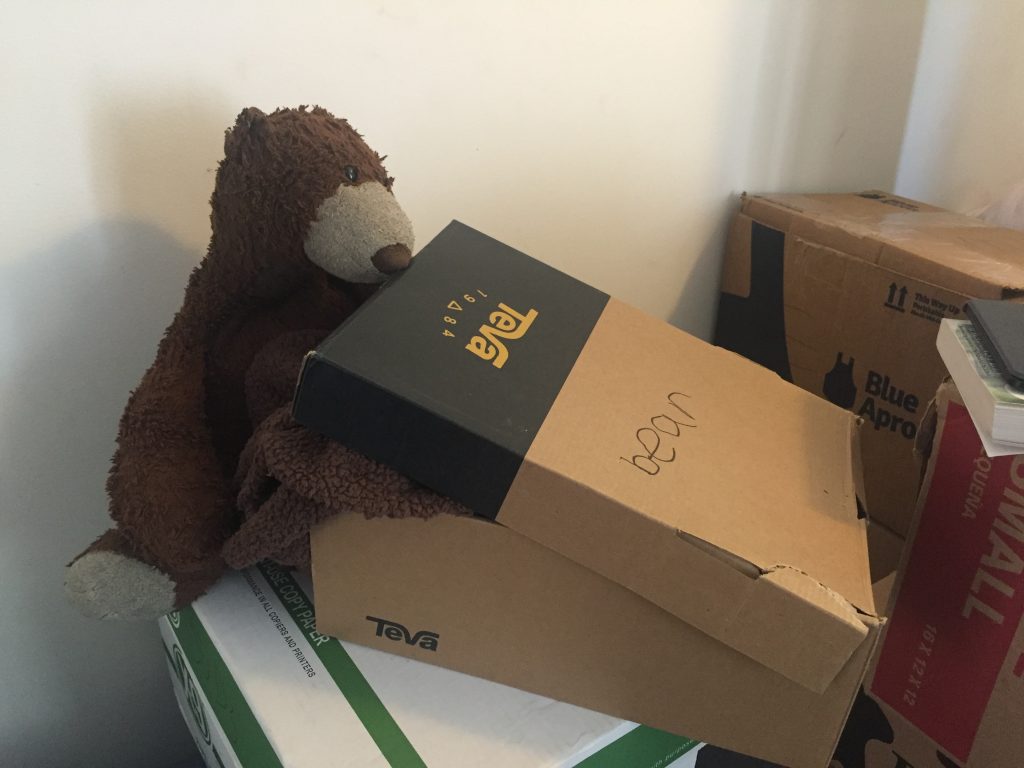 Bear Packing his Box